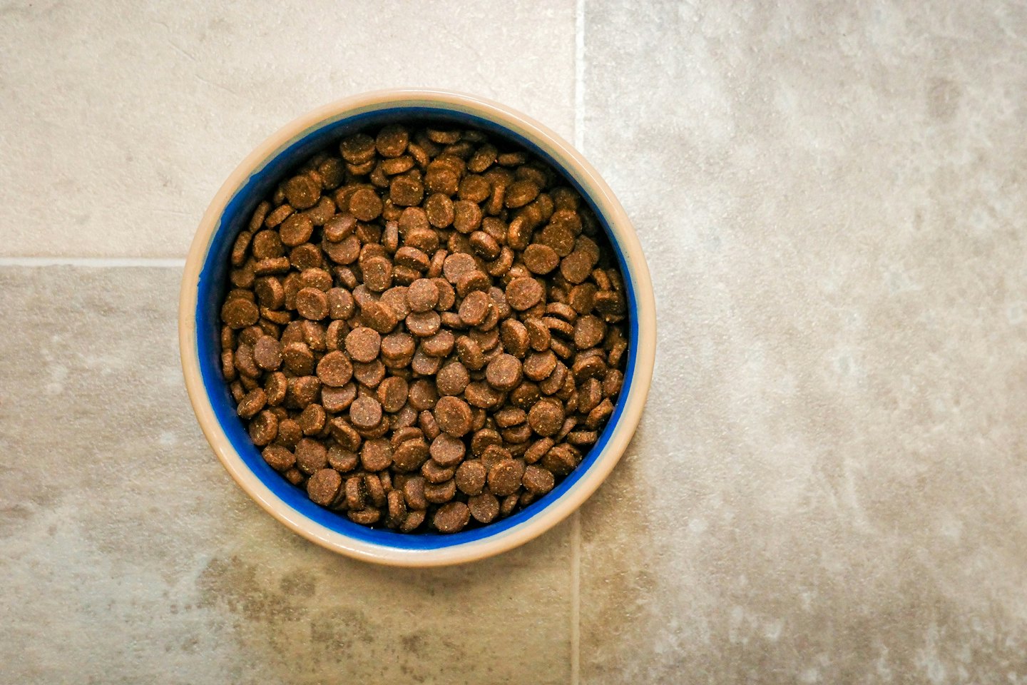 Pet food bowl filled with kibble on tiled floor.
